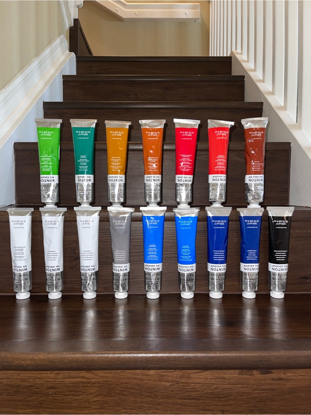Winsor & Newton Professional Oil Paint Bundle (16 Tubes/Colors- 200ml/6.75fl oz)